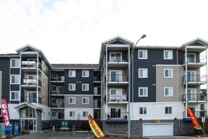 Stone Project on Apartment