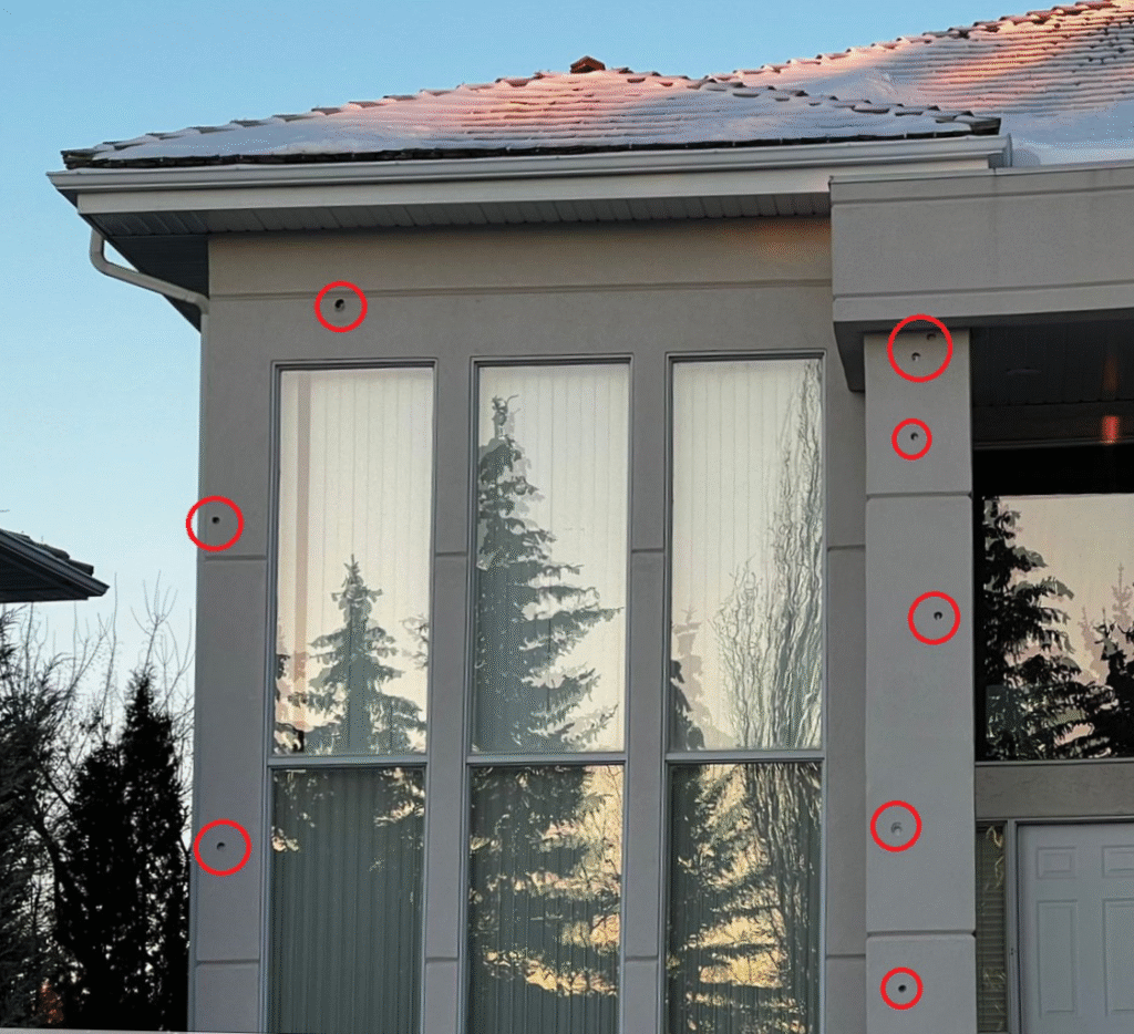 Woodpecker Holes Repair: A Temporary Fix or a Lasting Solution? 17 How to stop woodpeckers from damaging to stucco