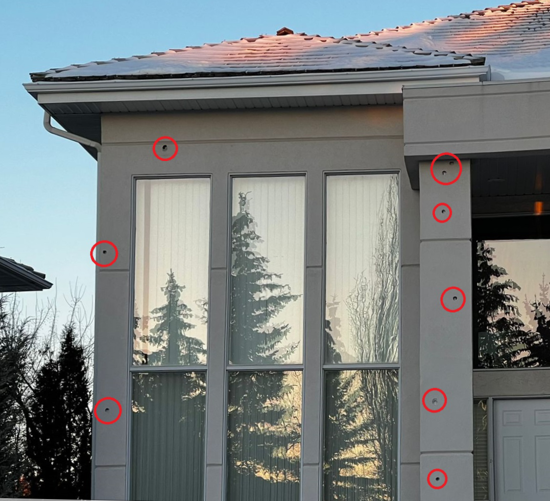 How to stop woodpeckers from damaging to stucco