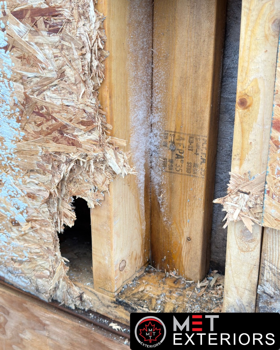 Exterior Moisture Problems