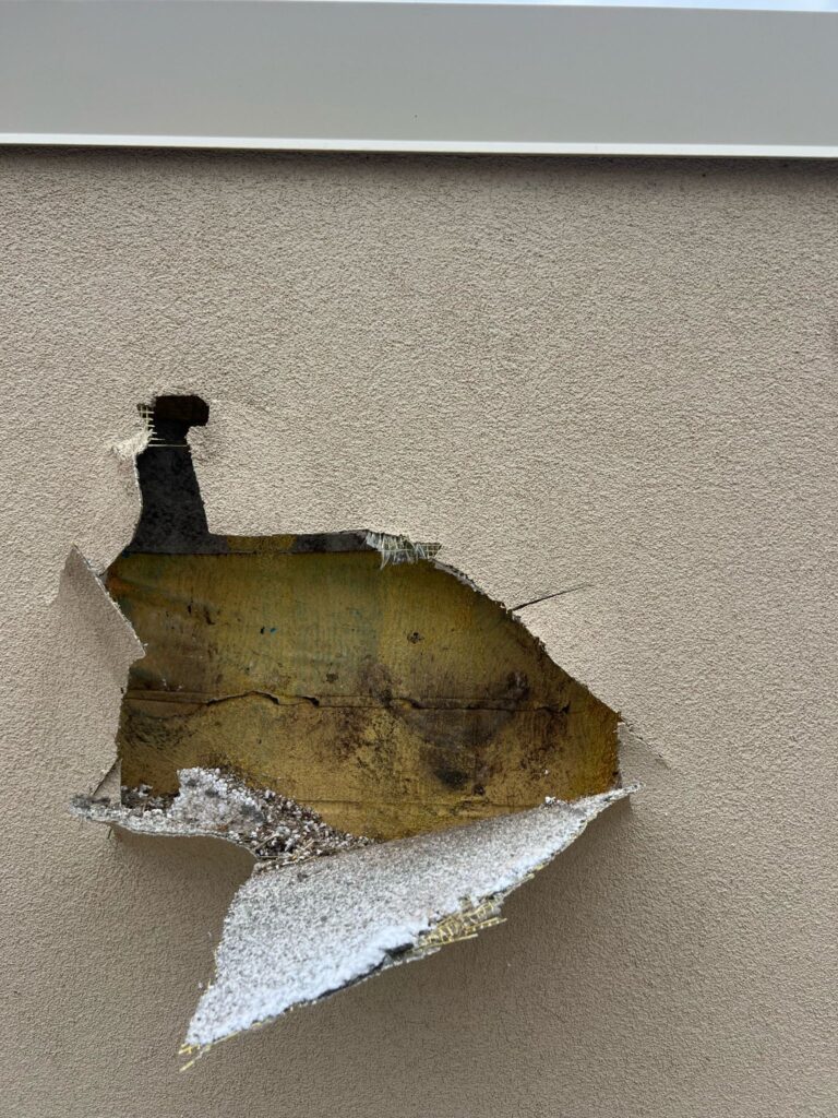 Wooodpecker Coating System